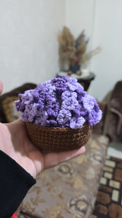 Eternal Flower Coasters 6pcs